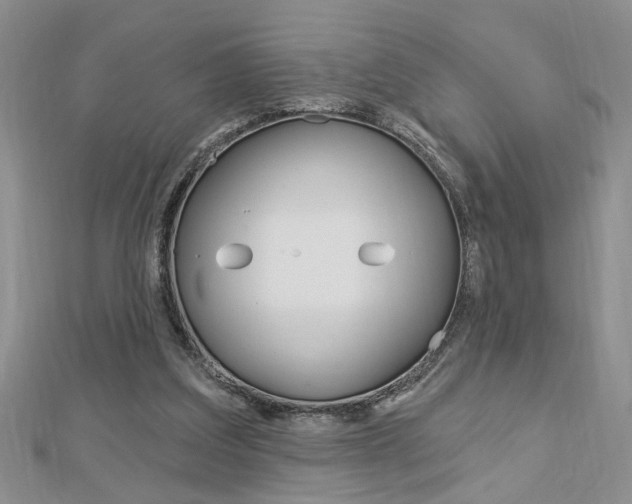 X0000113020203200908271041
