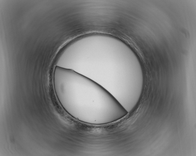 X0000113020204200908271041