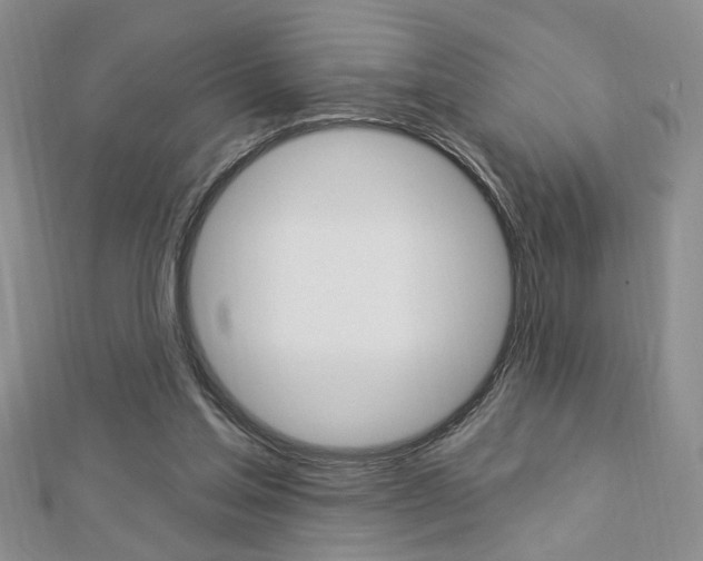 X0000113020205200908271041