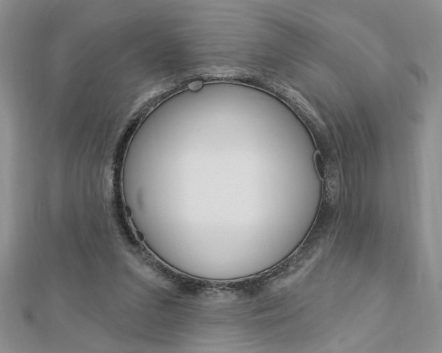 X0000113020207200908271041