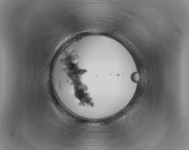 X0000113020208200908271041