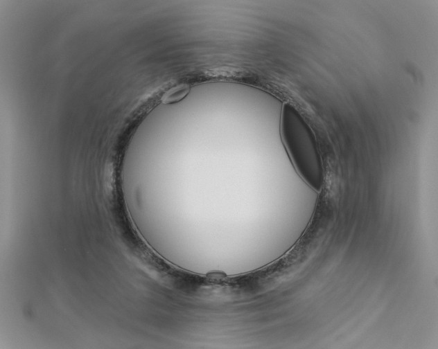 X0000113020211200908271041