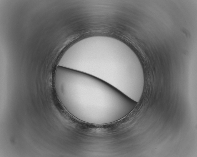 X0000113020212200908271041