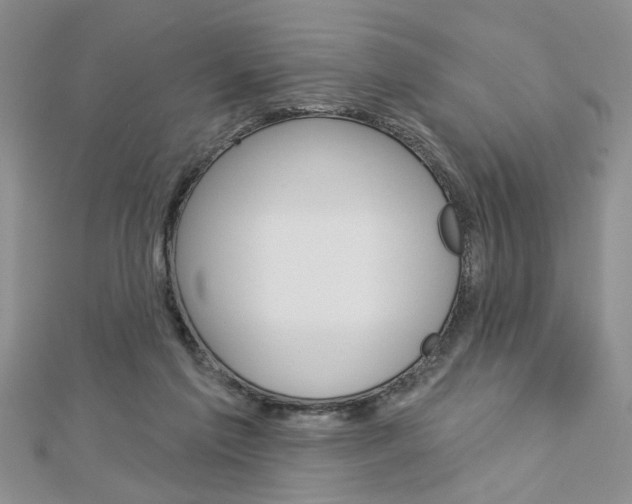 X0000113020213200908271041