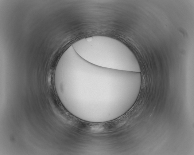 X0000113020214200908271041