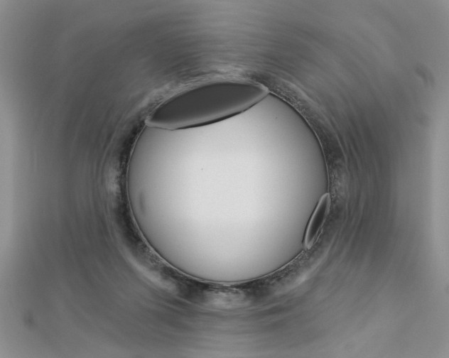 X0000113020215200908271041