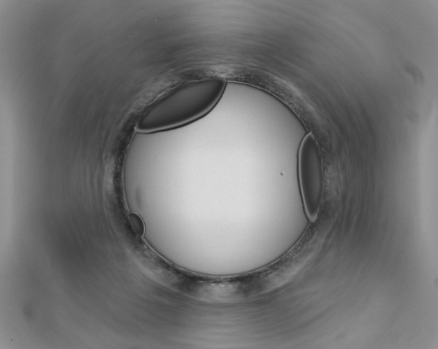 X0000113020217200908271041