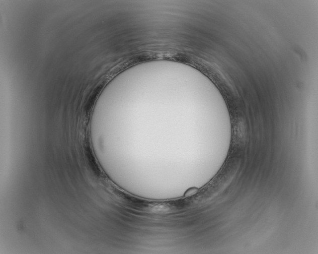 X0000113020218200908271041