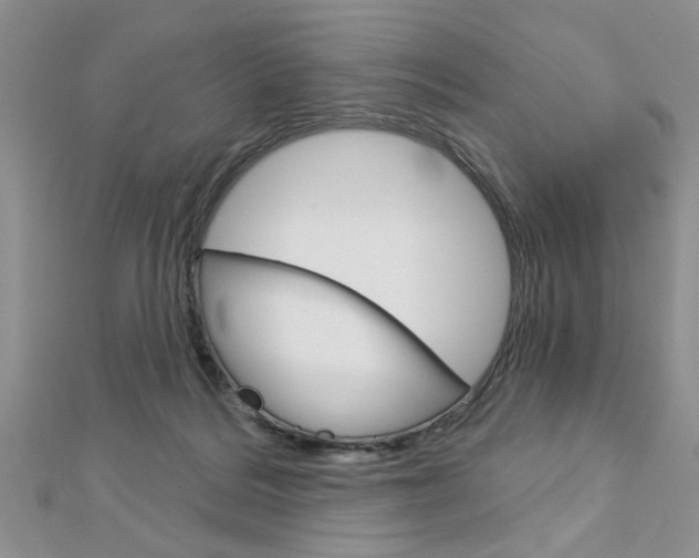 X0000113020220200908271041