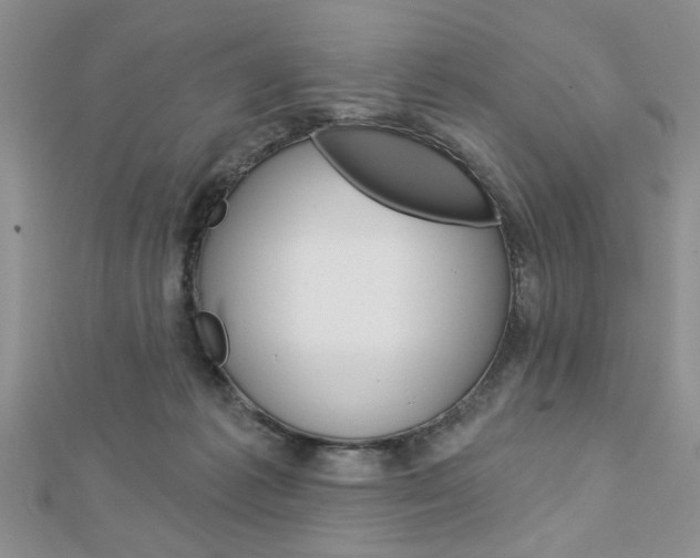 X0000113020221200908271041