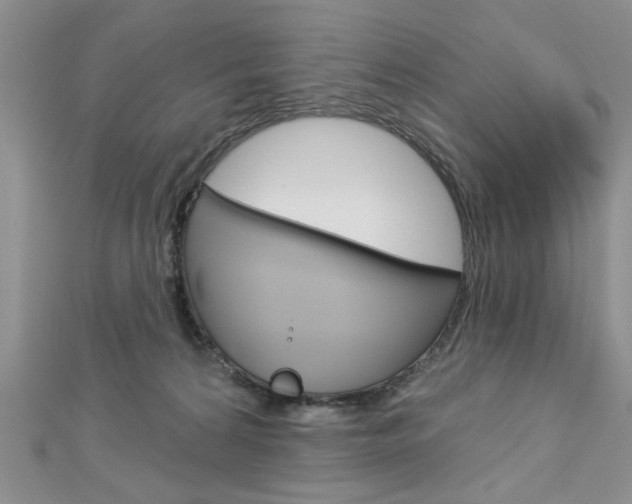 X0000113020224200908271041