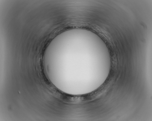 X0000113020225200908271041