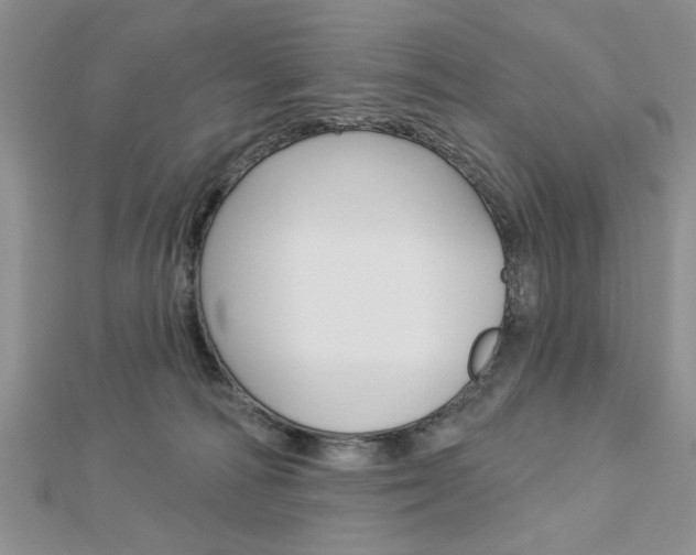 X0000113020226200908271040