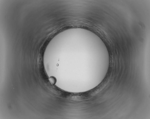 X0000113020228200908271040