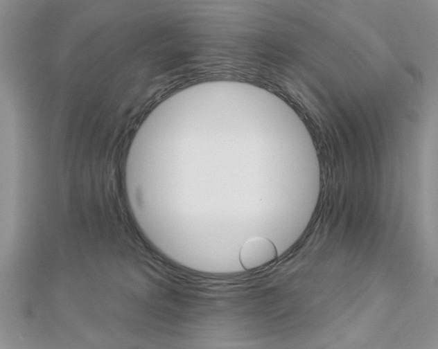 X0000113020229200908271040