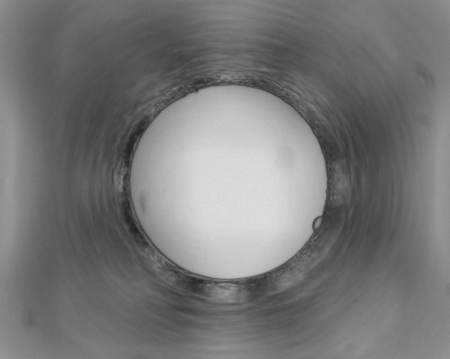 X0000113020230200908271040