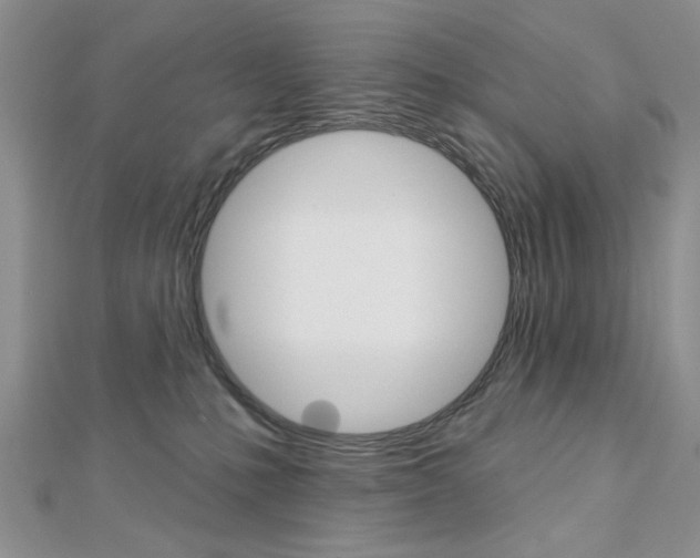 X0000113020231200908271040