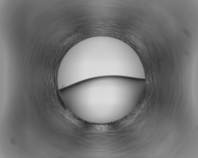 X0000113020233200908271040