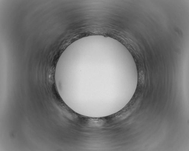 X0000113020234200908271040