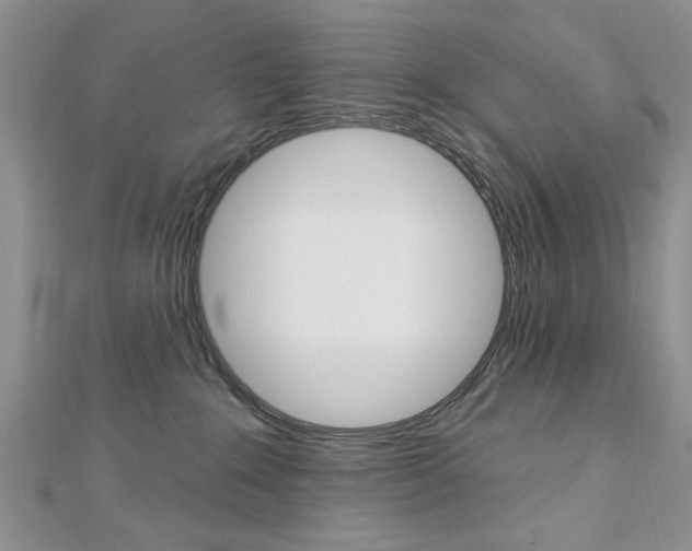 X0000113020235200908271040