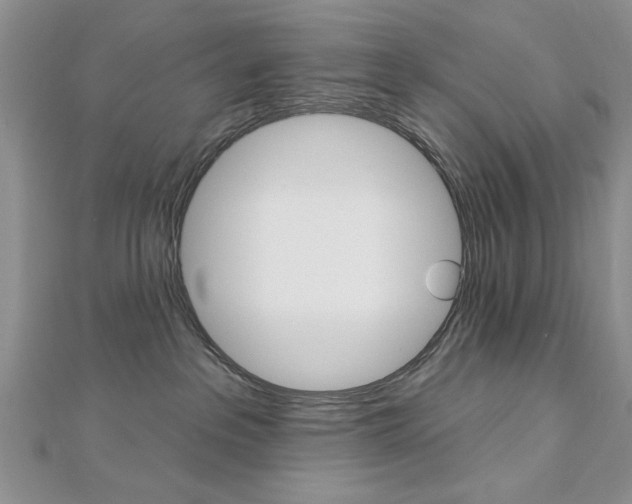 X0000113020237200908271040