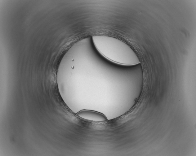 X0000113020240200908271040
