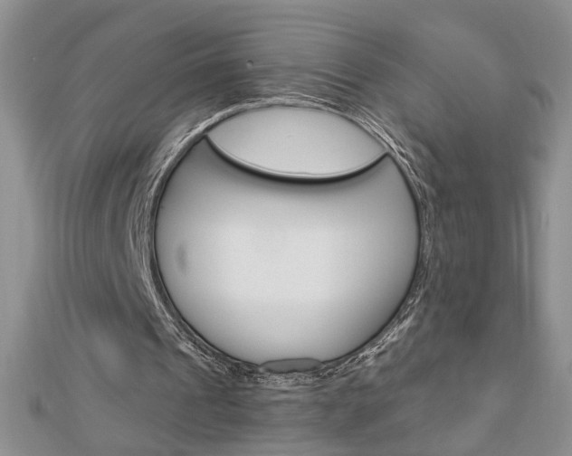 X0000113020241200908271040