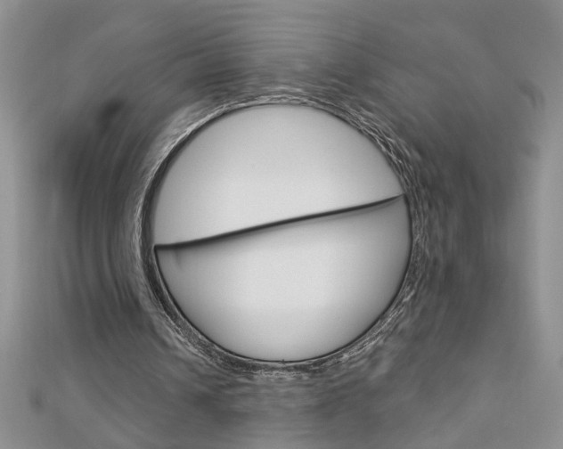 X0000113020242200908271040