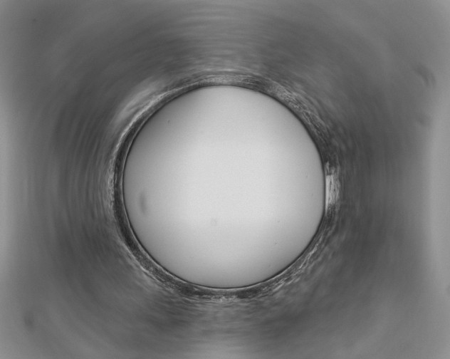 X0000113020243200908271040