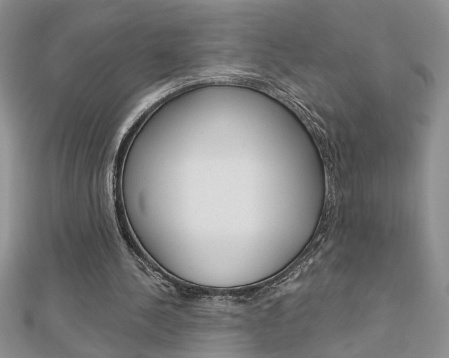 X0000113020244200908271040