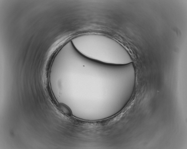 X0000113020245200908271040