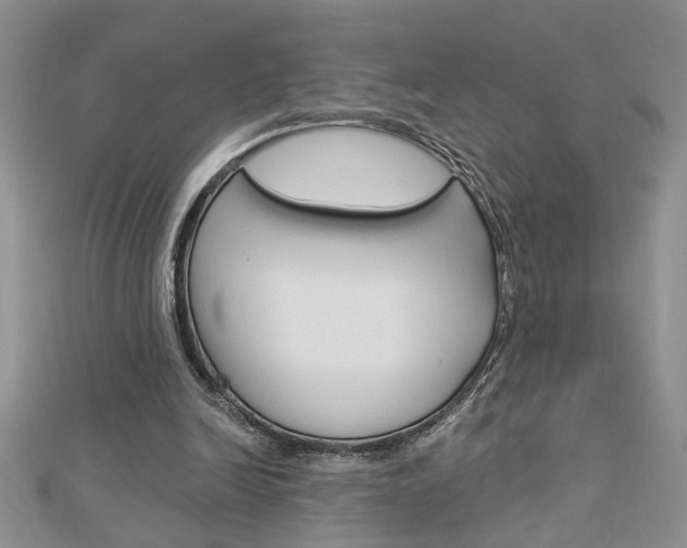 X0000113020246200908271040