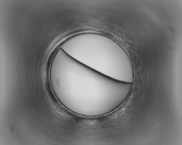 X0000113020247200908271040