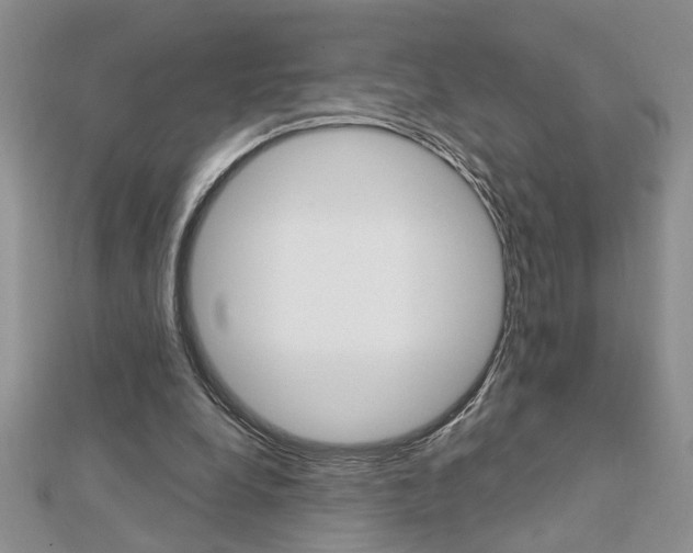 X0000113020248200908271040