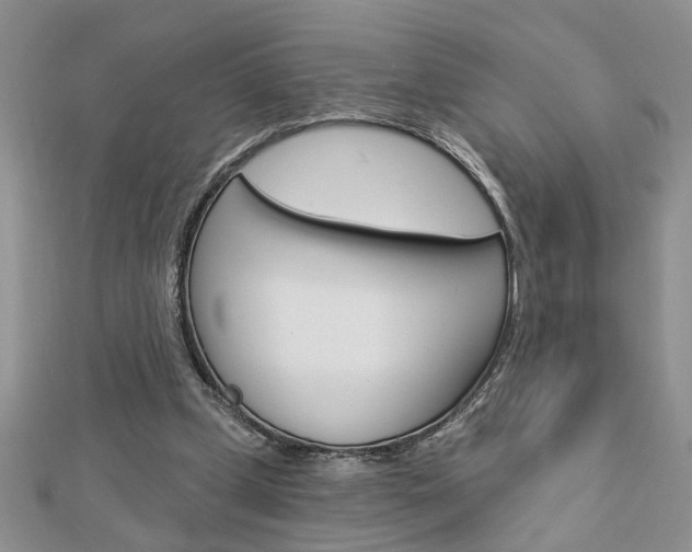 X0000113020249200908271040