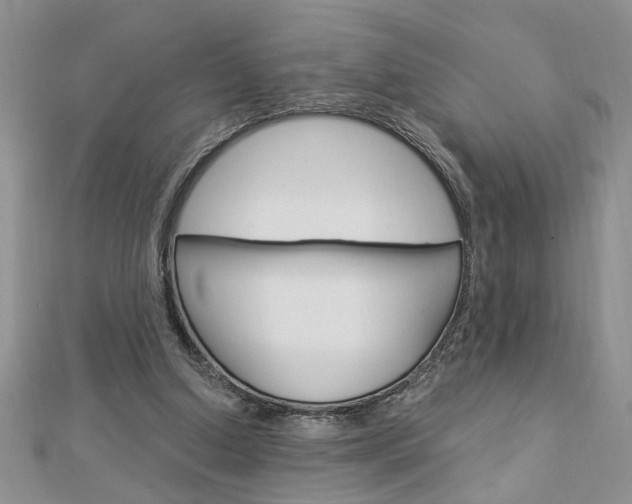 X0000113020250200908271040