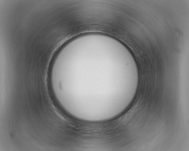 X0000113020252200908271040