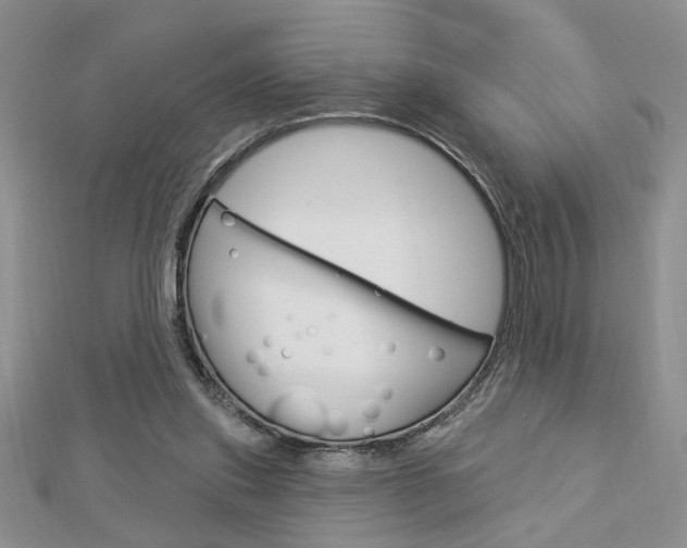 X0000113020253200908271040