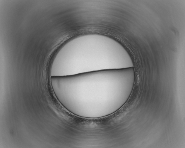 X0000113020254200908271040