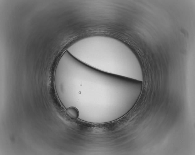 X0000113020255200908271040