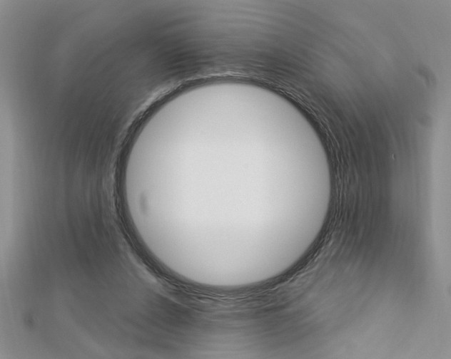 X0000113020256200908271040