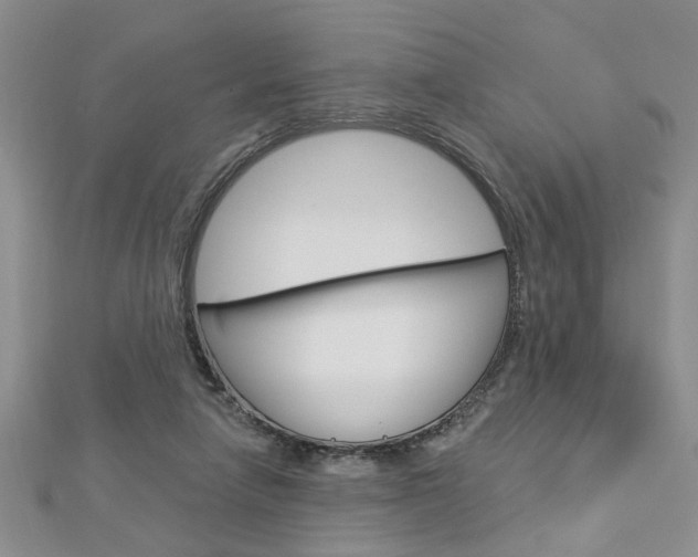X0000113020258200908271040