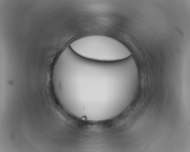 X0000113020259200908271040
