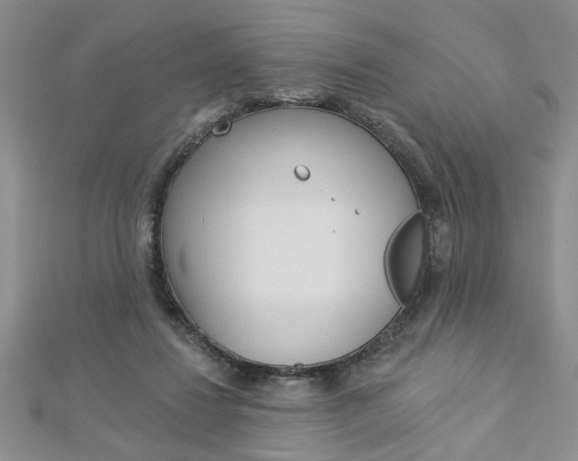 X0000113020260200908271040
