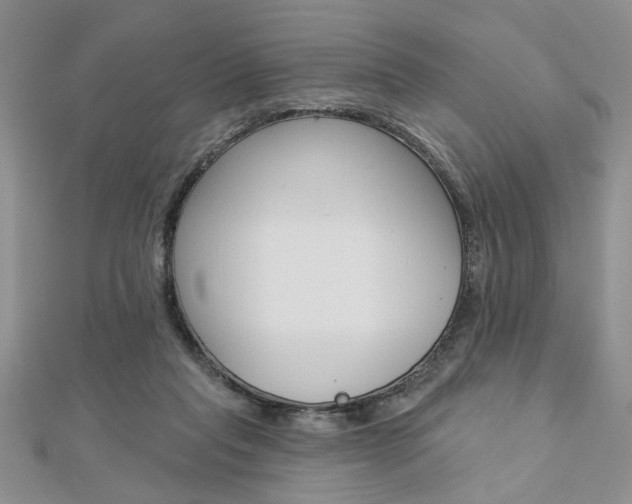 X0000113020261200908271040