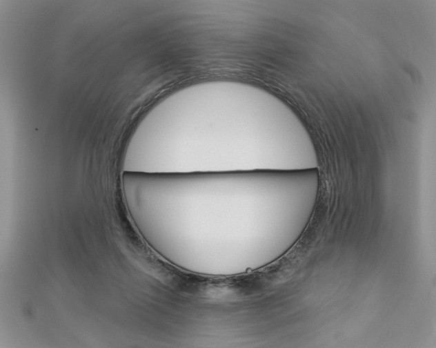 X0000113020262200908271040