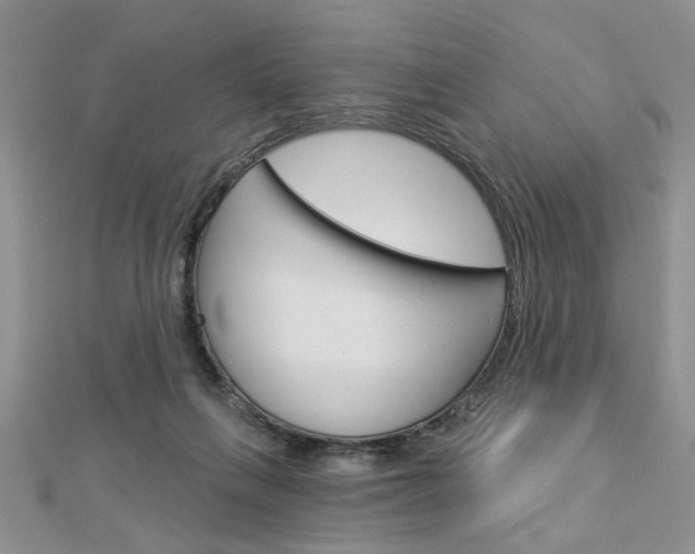 X0000113020263200908271040