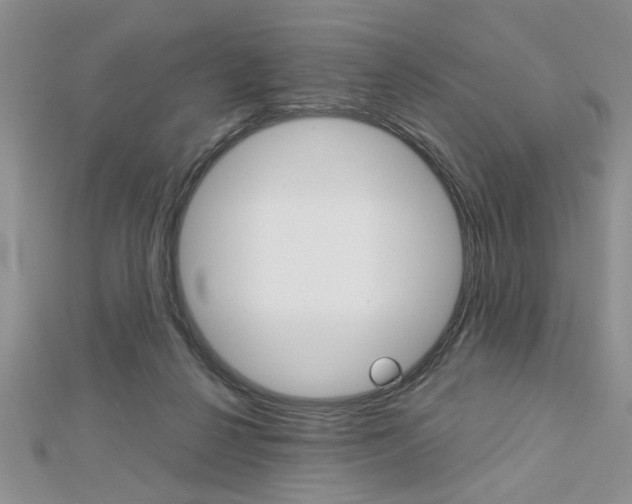 X0000113020264200908271040