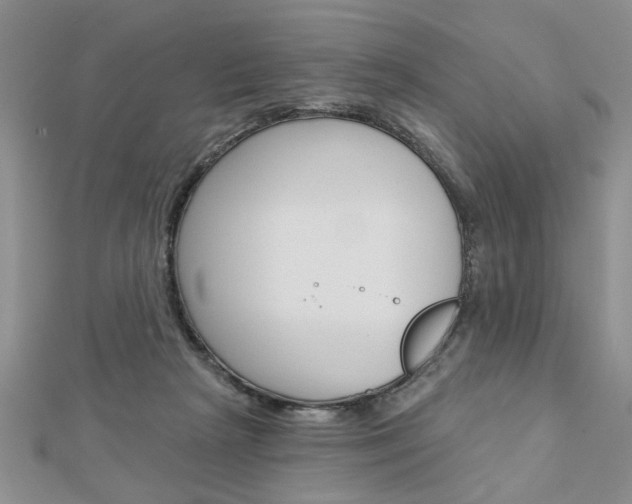 X0000113020265200908271040