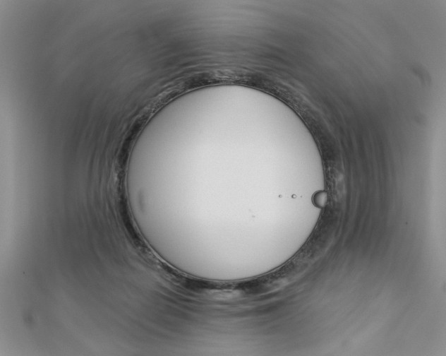 X0000113020266200908271040